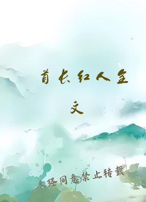 首长红人全文 小说